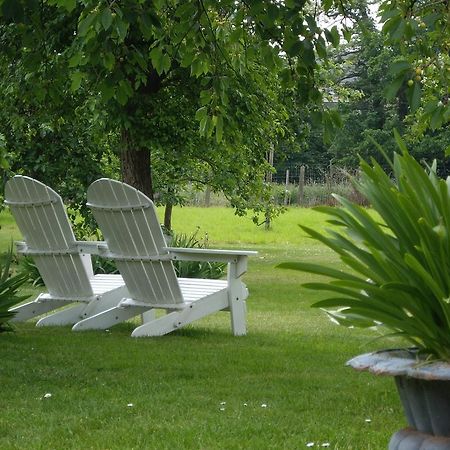 B&B Schoon Goed Gingelom Екстериор снимка
