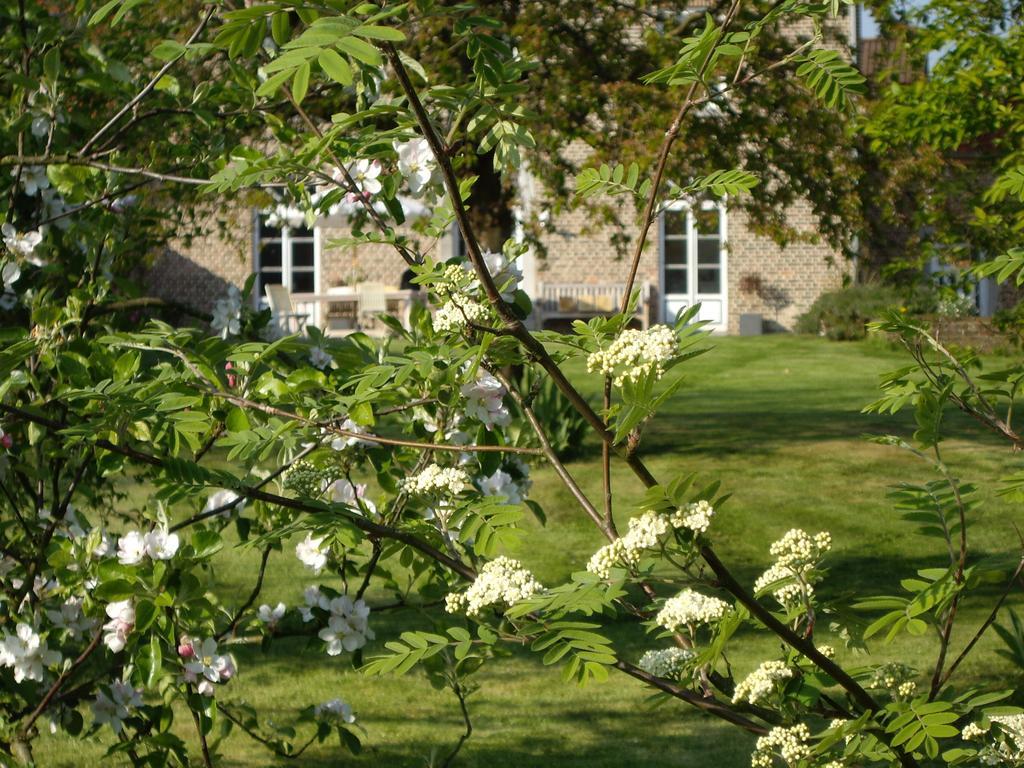 B&B Schoon Goed Gingelom Екстериор снимка